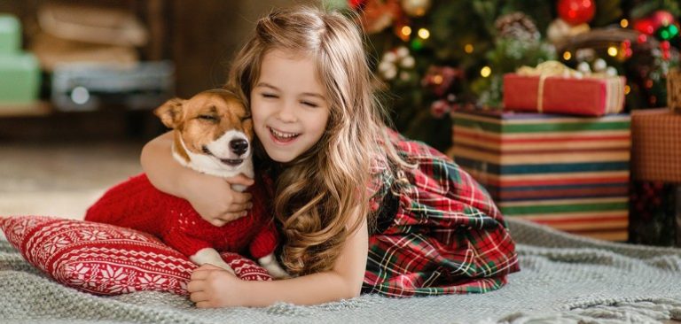 770_1545071088blog_post_navidades_seguras_1